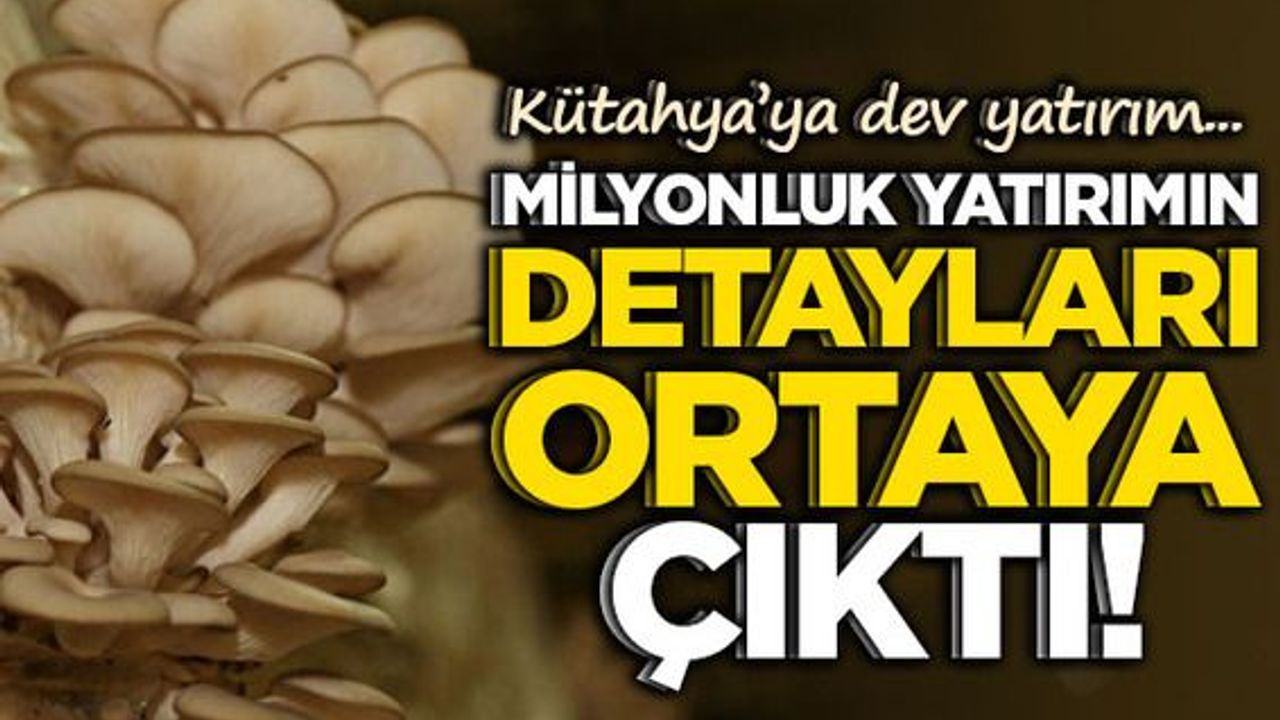 TKDK’dan Emet’e altın değerinde destek!