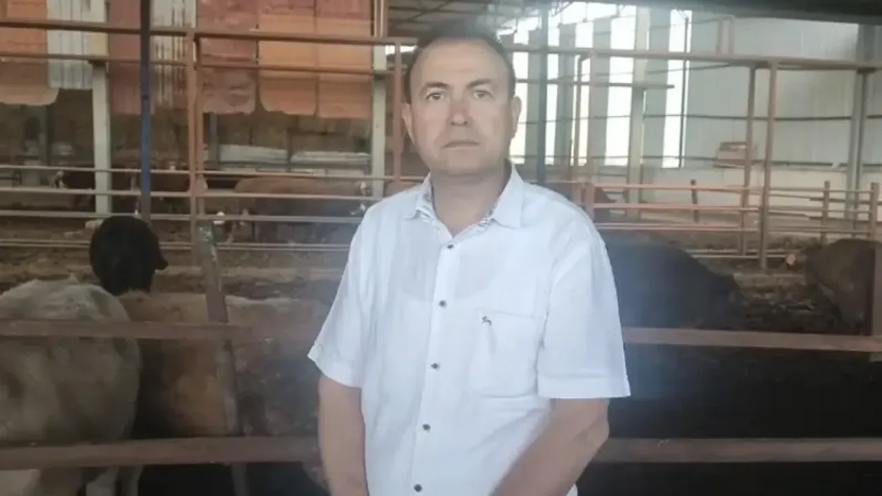 Kurbanlık dananın fotoğrafını çekerken canından oldu