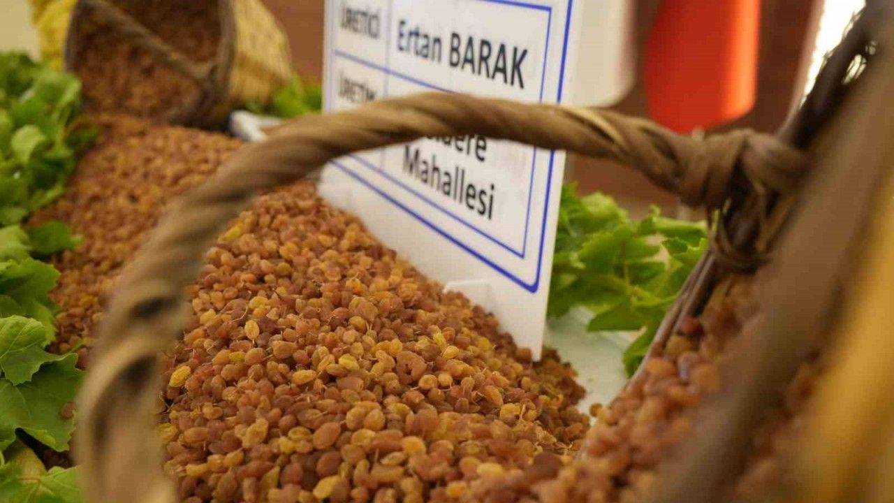 9 aylık tarım ihracatı 706,7 milyon dolara ulaştı