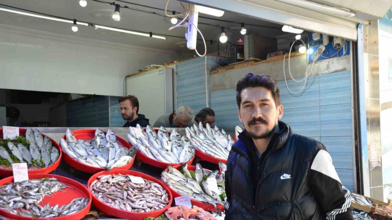 Balık severlere müjde: Hamsi ve sardalya tam kıvamında