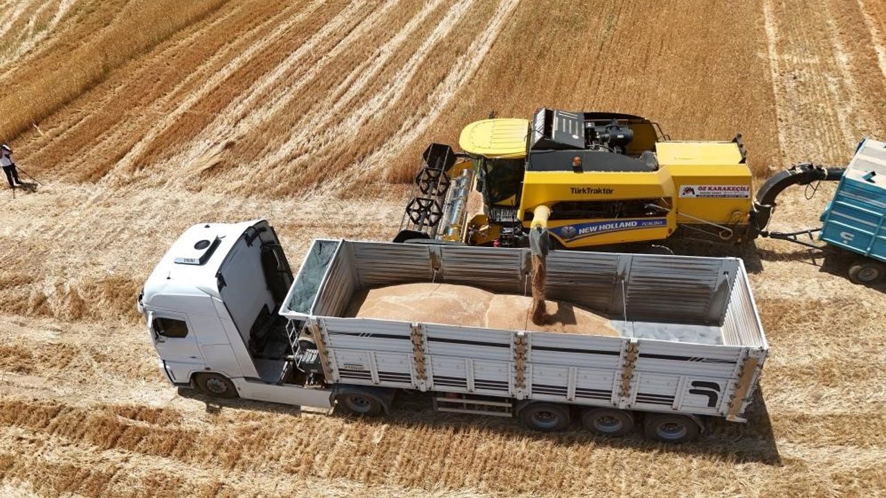 Arpa fiyatlarında ateş düşmüyor