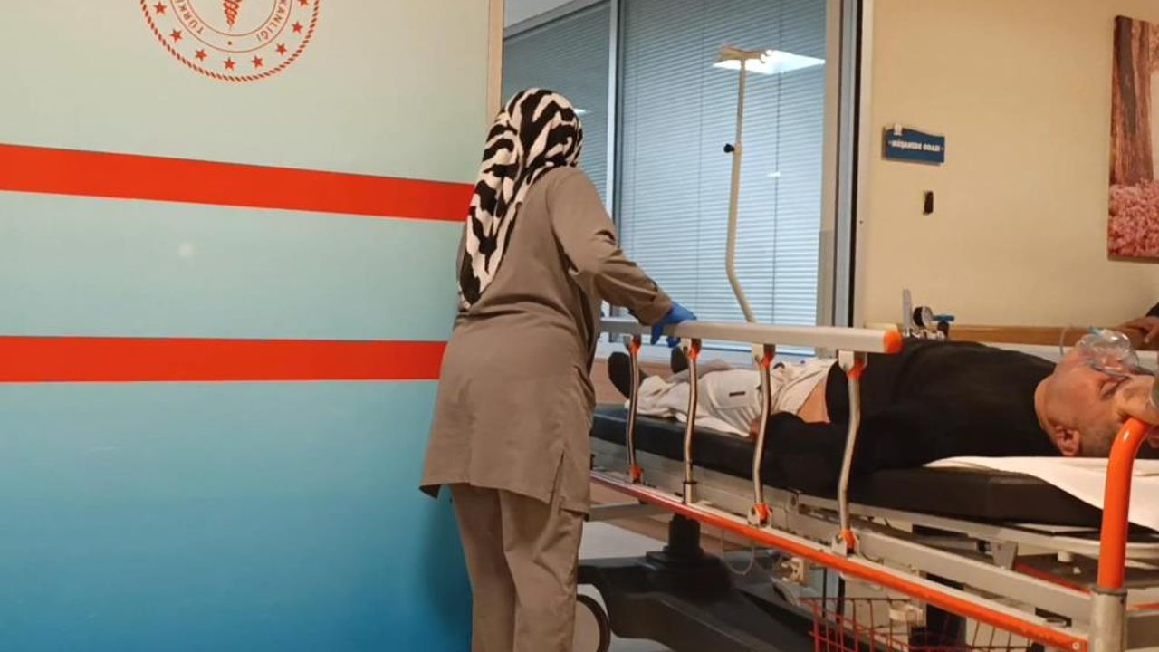 Ormanda topladığı mantarı yedi, hastanelik oldu