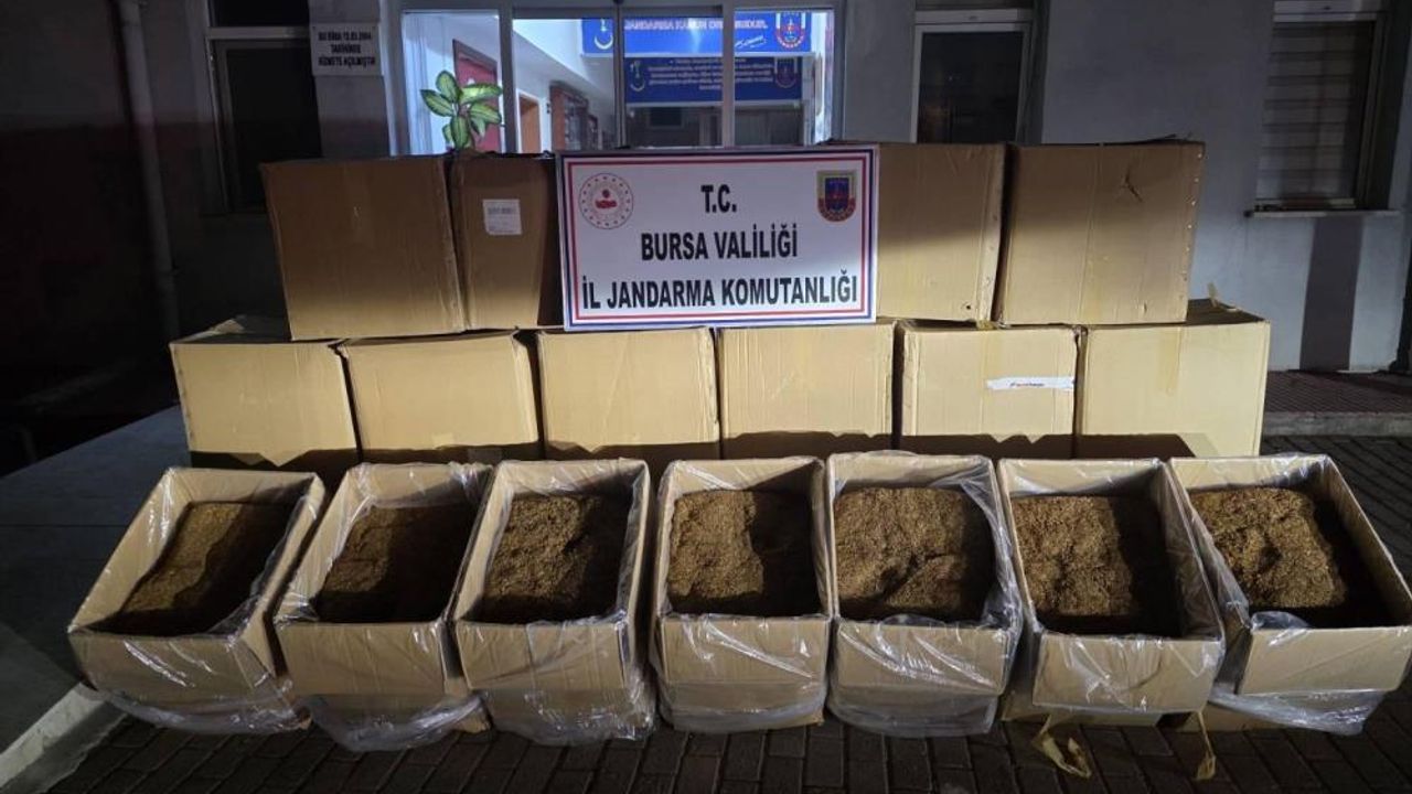 Operasyon yapılan iş yeri kaçak tütün yuvası çıktı