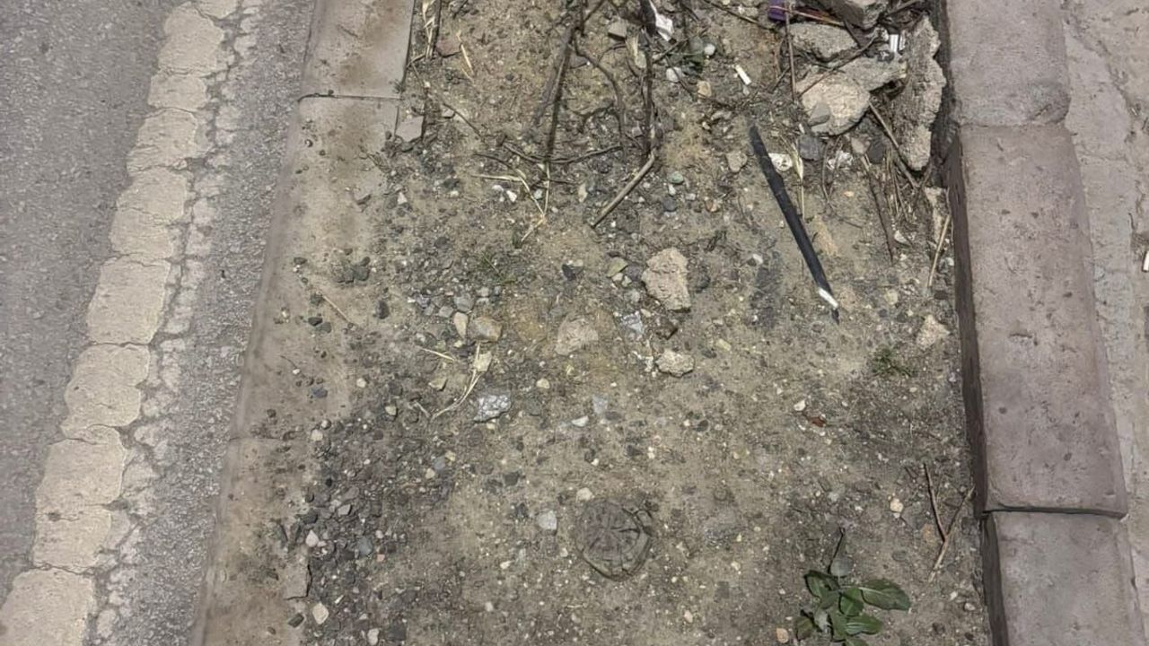 Kütahya'da refüjlerin bakımsızlığı görenlerin yüzünü ekşitiy