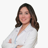 Ayşegül Akkaya Erden