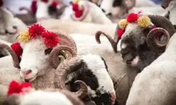 2025 kurban bayramı ne zaman? İşte resmi tatiller ve bayram tarihi