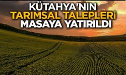 Kütahya'nın ilçelerindeki ihtiyaçlar Tarım Reformu Müdürü'ne iletildi