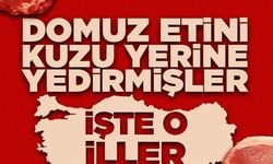 Millete domuz eti yedirmişler