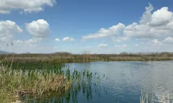 Eber Gölü’nde azalan su seviyesi endişe veriyor