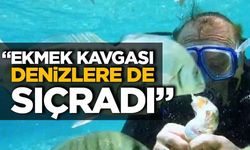 Kutlu Parti’den “Mavi Vatan” Uyarısı: “Ekmek Kavgası Denizlere de Sıçradı”