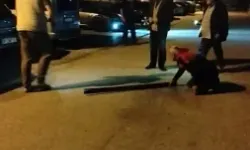 Araçların içerisine giren fareler vatandaşları alarma geçirdi