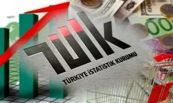 Birleşik Kamu-İş: TÜİK Hesaplamıyor, Rol Yapıyor!