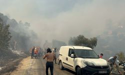 Tarım Arazisinde Çıkan Yangın Büyüyor