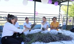 Lavanta ve kekik tarlalarından renkli kareler çıktı