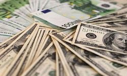 Dolar ve Euroda Yükseliş Sürüyor: 29 Ağustos Güncel Döviz Kurları