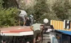 Paraşüt Ağaca Takıldı, Yolcu Hastanelik Oldu