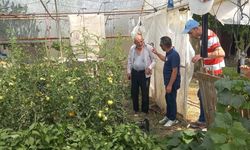Kütahya'da Seralara Yakın Takip Başladı