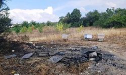 Kütahya’da Yangın: Arı Kovanları Alevlere Teslim