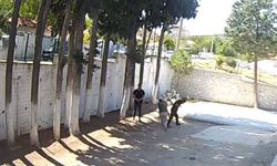 Belediye Başkanından Zabıtalara Sopalı Saldırı