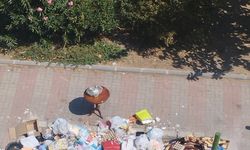 Çöpler Toplanmayınca Sokaklar Kokudan Geçilmez Oldu