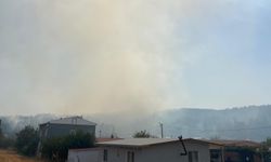 İzmir’de Orman Yangını Korkuttu, Ekipler Seferber Oldu