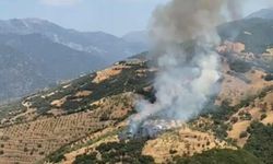 Kayınpederiyle tartışıp, tarım arazisini yaktı