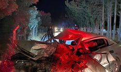 Otomobil Ağaca Çarptı: 30 Yaşındaki Sürücü Öldü