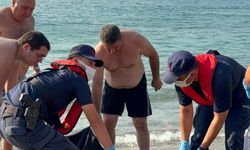 Tekne Pervanesi Caretta Carettaya Çarptı, Sahil Güvenlik Müdahale Etti