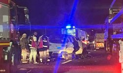 Aniden yola atlayan domuz can pazarı yaşattı: 5 yaralı