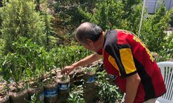 Balkondan bahçeye: Eskişehirli esnaftan örnek dönüşüm
