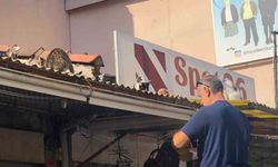 Çatıda Yaşayan Kediler İçin Her Gün Merdiven Kuruyor