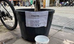 Hayvanseverden Tatlı Uyarı: Gören Gülümsedi