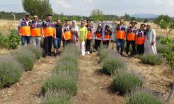 Kütahya’da Lavanta Kokulu Çevre Duyarlılığı Etkinliği