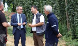 Şerbetçi Otu Türkiye’de Sadece Pazaryeri’nde Var