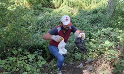 Simav’da yayla piknik çöpleriyle doldu
