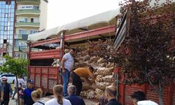 Tarlasında yetiştirdiği 20 ton patatesi vatandaşa dağıttı