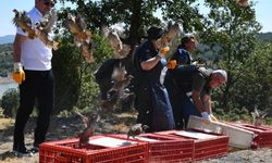 Tavşanlı’da keneye son: 300 kınalı keklik doğaya bırakıldı
