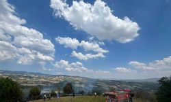 Tütün Tarlasındaki Kablo Yangını Başlattı