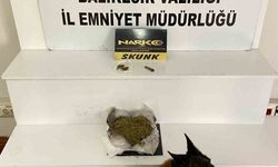 Uyuşturucuya darbe: Esrarla yakalandılar