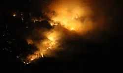 Orman yangını sonrası bir kişi gözaltına alındı