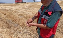 Tarlada İsrafa Geçit Yok: Kütahya’da Operasyon Başladı
