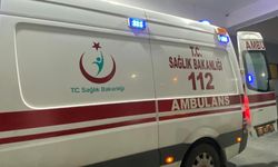 Ağaçların arasındaki komşusunu domuz zannedip vurdu