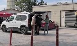 Hayvanları kurban eden şahıs adliyeye sevk edildi