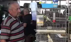Tavşanlı'daki dükkanda 40 yıldır kuş sesleri eşliğinde üretim yapılıyor