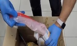 Otogarda ağızlar açık kaldı: Şampuanın içinden çıkanlar şaşırttı