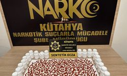 Kütahya'da durdurulan araç zehir yuvası çıktı