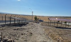 Sessiz Canlara Yeni Nefes: Kütahya’da Özel Alan Tahsis Edildi
