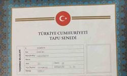 Tapuda sahte vekalet skandalı