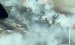 Söke’de Makilik Alanda Yangın! Ekipler Seferber Oldu
