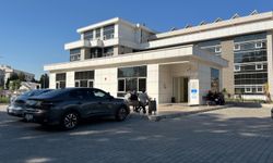 Eski Sevgilisini Vurdu, İki Kişiyi Yaraladı, Canına Kıydı